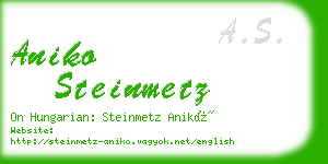 aniko steinmetz business card